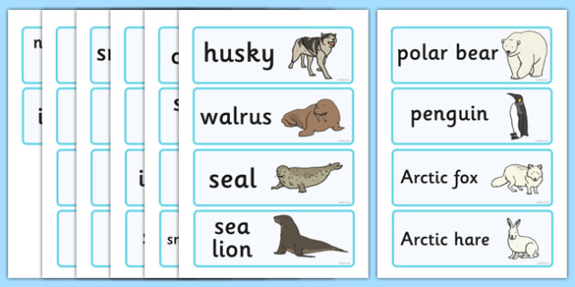 Polar Regions Word Cards - Polar Regions Word Cards, Polar