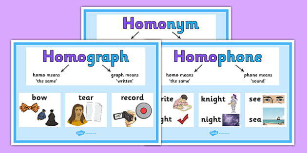 Homophones homonyms and homographs