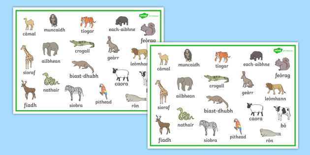 Scottish Gaelic Animal Word Mat