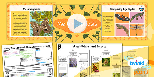 metamorphosis activity lesson pack year 5 science