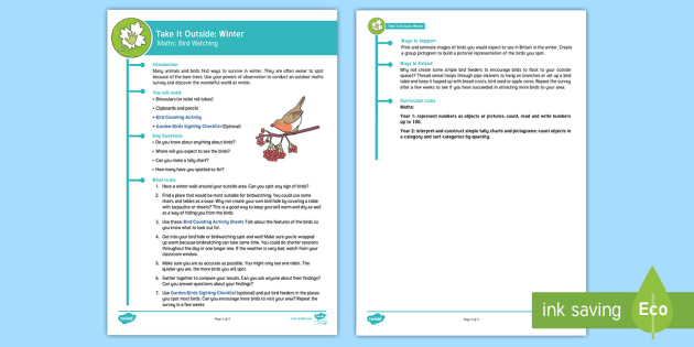 KS1 Take It Outside: Winter Maths Bird Watching Activity