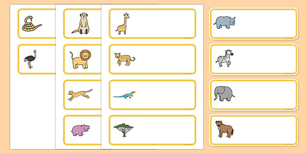 FREE! - Editable Drawer - Peg - Name Labels (Safari) - Safari animal themed