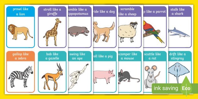 Animal Action Cards (teacher made) - Twinkl