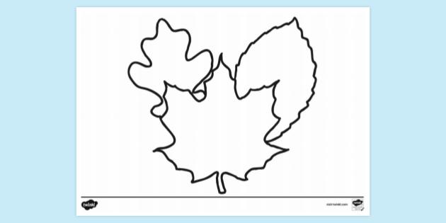 Autumn Leaves Colouring Sheet | Colouring Sheets | Twinkl