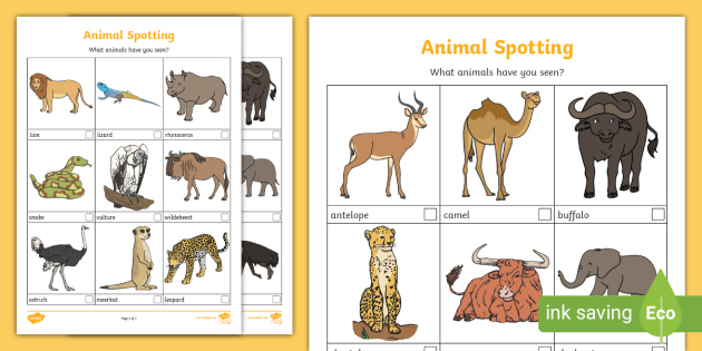 Safari Animal Spotting Sheet (teacher made) - Twinkl