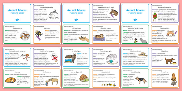 Animal Idioms Meaning Cards (teacher made) - Twinkl
