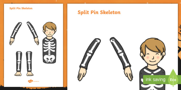 Split Pin Skeleton Activity 2806