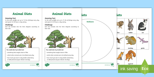 Animal Diets Cut and Paste Activity (teacher made)