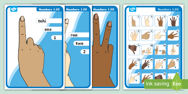 NZ Sign Language Numbers Posters | 1 to 20 | New Zealand