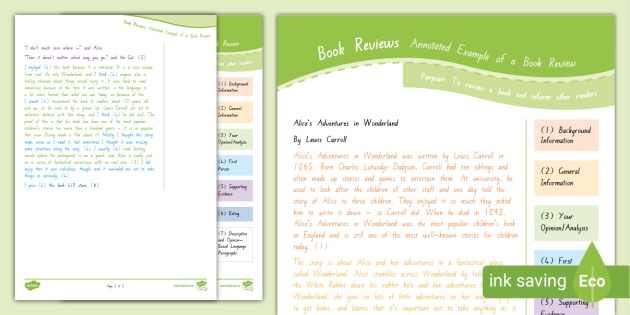 Level 3 Writing - Book Review: Exemplar with Annotations