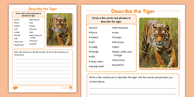USA　Tiger　the　Describe　Twinkl　Twinkl　Printable　Worksheet