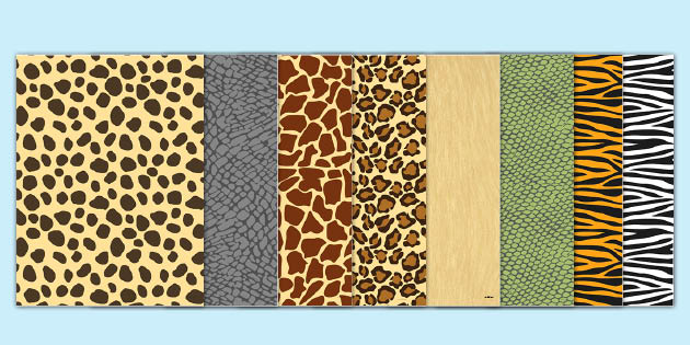 African Safari Animal Patterns A4 Sheets (teacher made)
