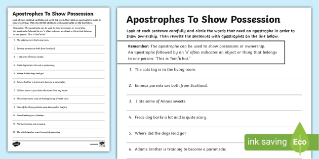 Apostrophes And Possession Work Sheet Teacher Made 8150