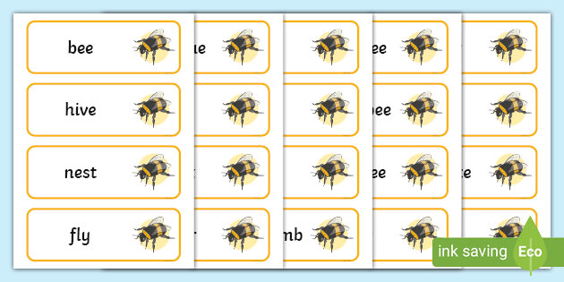 Bee Flashcards (teacher made)