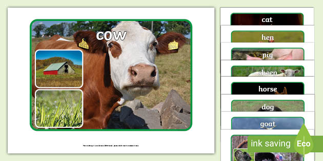 Preschool and Daycare learni 11 Laminated Farm Life Picture and Word Flashcards