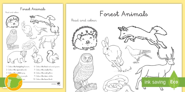 A1 Ficha De Actividad Lee Y Colorea Los Animales Del Bosque En Ingles