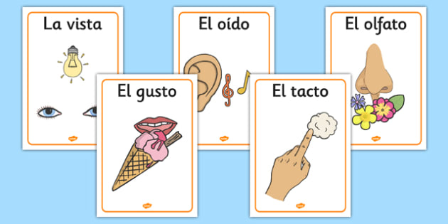 Image result for spanish five senses