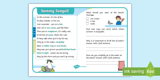 Sammy Seagull Reading Comprehension Mat (teacher made)