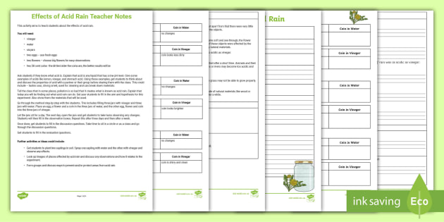 Effects of Acid Rain Activity | Experiment | Twinkl
