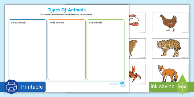 Animal Sorting Activity | Types Of Animals Worksheet