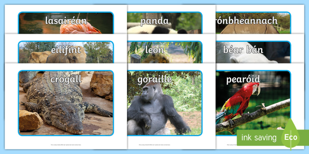 Zoo Animals Display Photos Gaeilge (teacher Made)