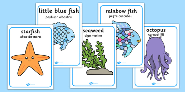 The Rainbow Fish Movement Activity Picture Cards Romanian Translation