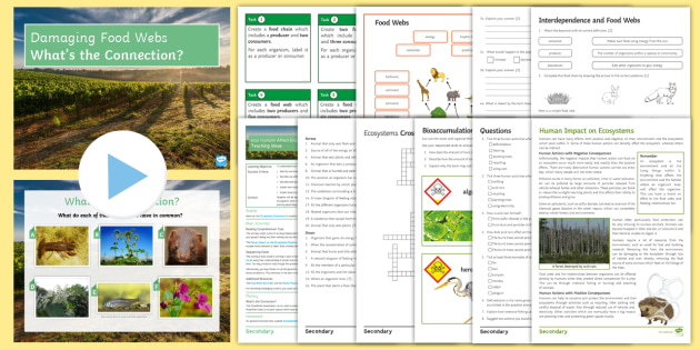 Ecosystems Teaching Pack: How Humans Affect Ecosystems