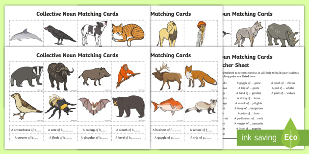 Collective Nouns PDF Worksheet | Flashcards with Pictures