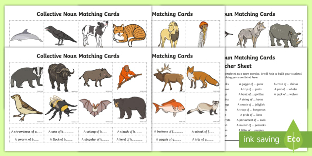 collective nouns pdf worksheet flashcards with pictures