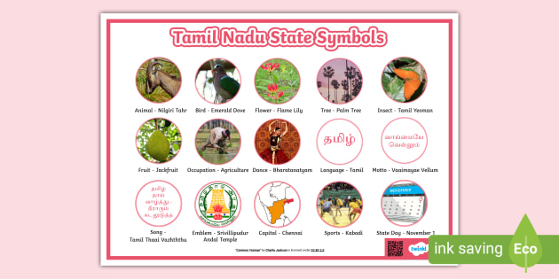 tamil-nadu-state-symbols-posters-teacher-made