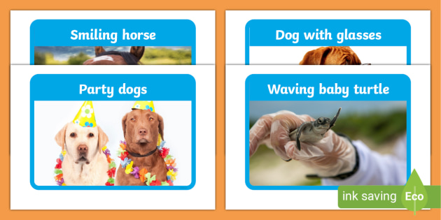 Animal Silly Pictures for Kids | Teaching Resources