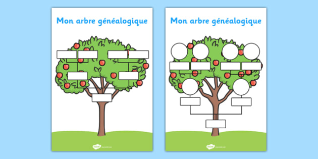 French Family  Tree  Primary Resources