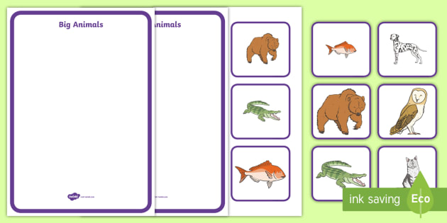 big and small sorting activity animals early years