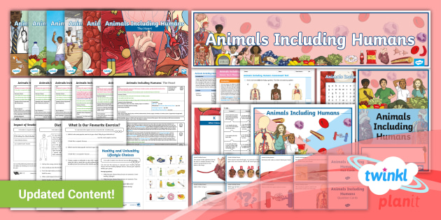 Science:　Humans　Animals　Twinkl　Including　Year　Unit　Pack