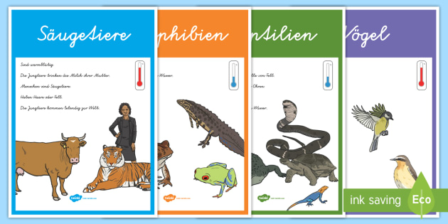 Tierklassen Poster für die Klassenraumgestaltung