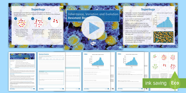 AQA Inheritance, Variation and Evolution Lesson 10: Resistant Bacteria
