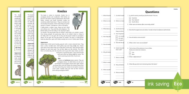 The Koala Differentiated Reading Comprehension Activity