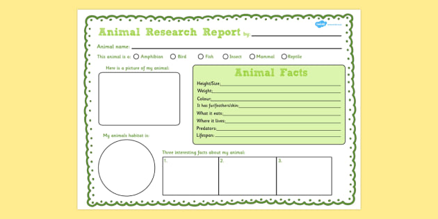 Animal Report Template | Writing Frames | Twinkl - Twinkl