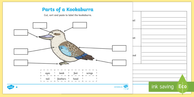 Parts of a Kookaburra Worksheet / Worksheets (teacher made)