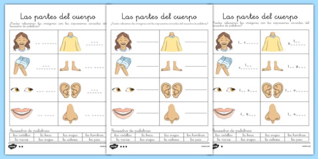 Ficha De Actividad Las Partes Del Cuerpo Teacher Made