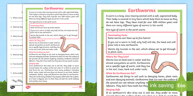 Earthworm Reading Comprehension (teacher Made)