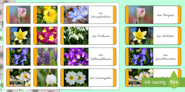 Frühlingsblumen Domino Spiel