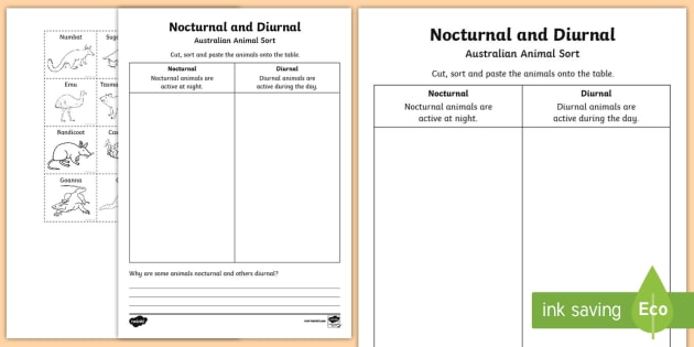Nocturnal and Diurnal Australian Animals Worksheet / Worksheet Nocturnal and Diurnal Australian Animals Worksheet / Worksheet