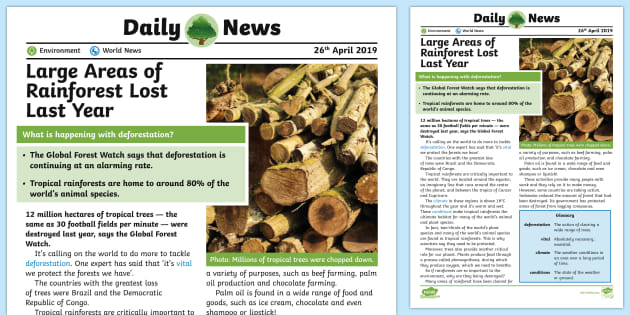 UKS2 Deforestation Daily News Story (teacher Made)