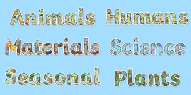 Year 1 Science Display Lettering Resource Pack