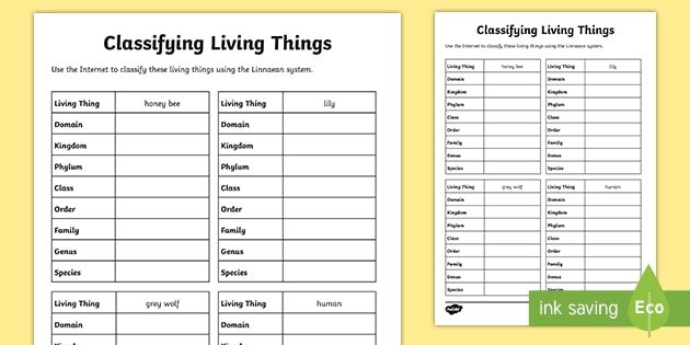 classifying-living-things-worksheet-teacher-made