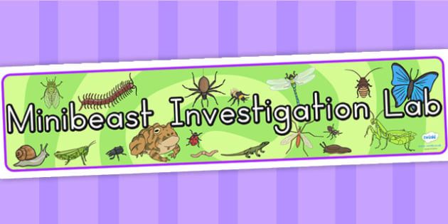 Minibeasts Investigation Lab Roleplay Display Banner Header