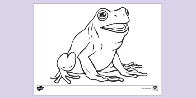 20 Easy Frog Drawing Ideas