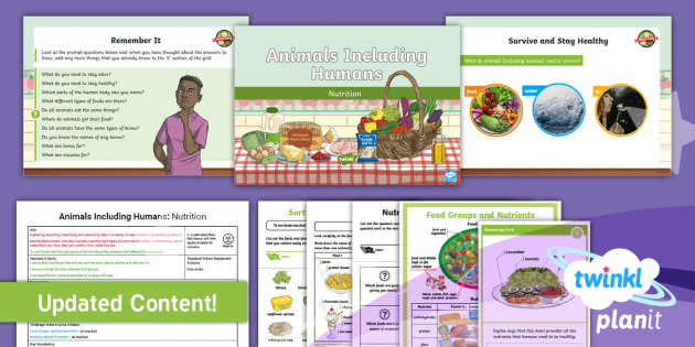 science animals including humans nutrition year 3 lesson 1