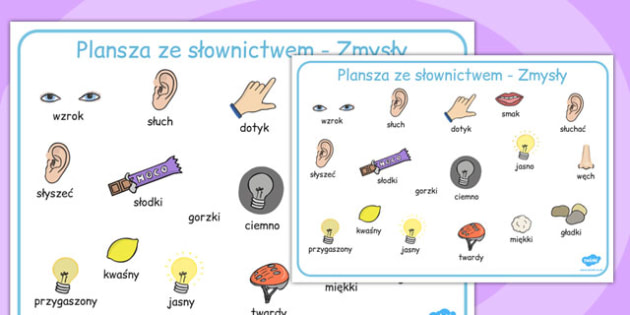 Plansza ze słownictwem Moje zmysły po polsku